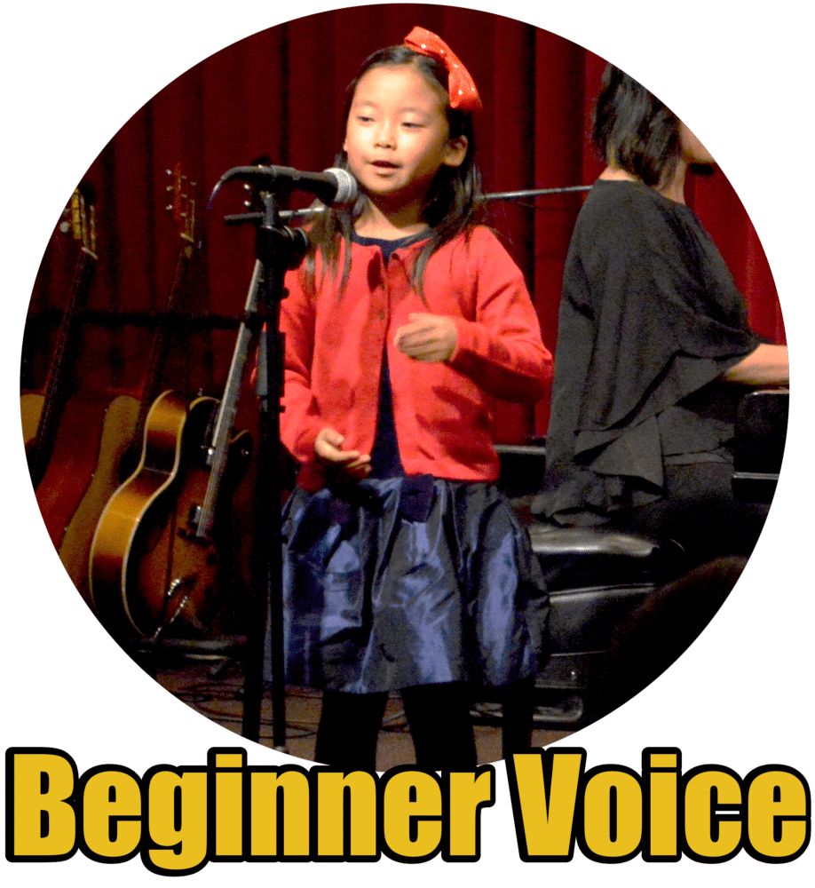 Beginner Voice