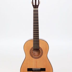 Classica/Nylon String Guitars