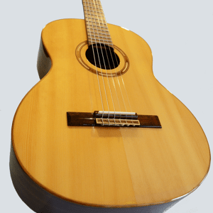 Classical/Nylon String Guitars