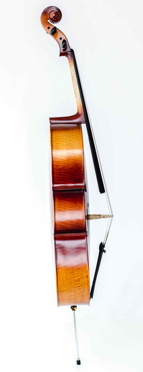 Zcintert Clear Cello 𝗖𝗲𝗹𝗹𝗼𝗽𝗵𝗮𝗻𝗲 𝗧𝗿𝗲𝗮𝘁 𝗕𝗮𝗴𝘀, 10