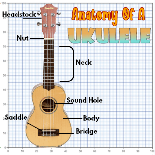 Implacable Competitivo a pesar de Anatomy Of A Ukulele - Learn the parts to your instrument.
